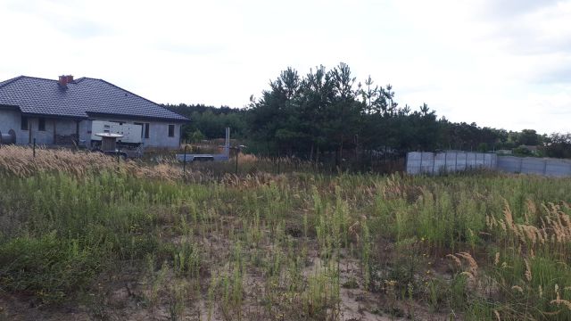 Działka rolno-budowlana Szyszyńskie Holendry. Zdjęcie 3