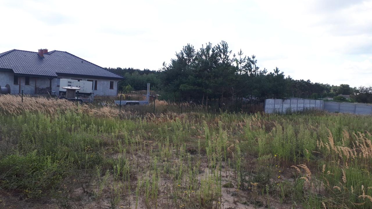 Działka rolno-budowlana Szyszyńskie Holendry. Zdjęcie 3