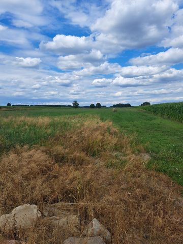 Działka budowlana Michałki. Zdjęcie 1