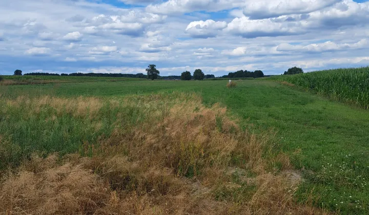 Działka budowlana Michałki