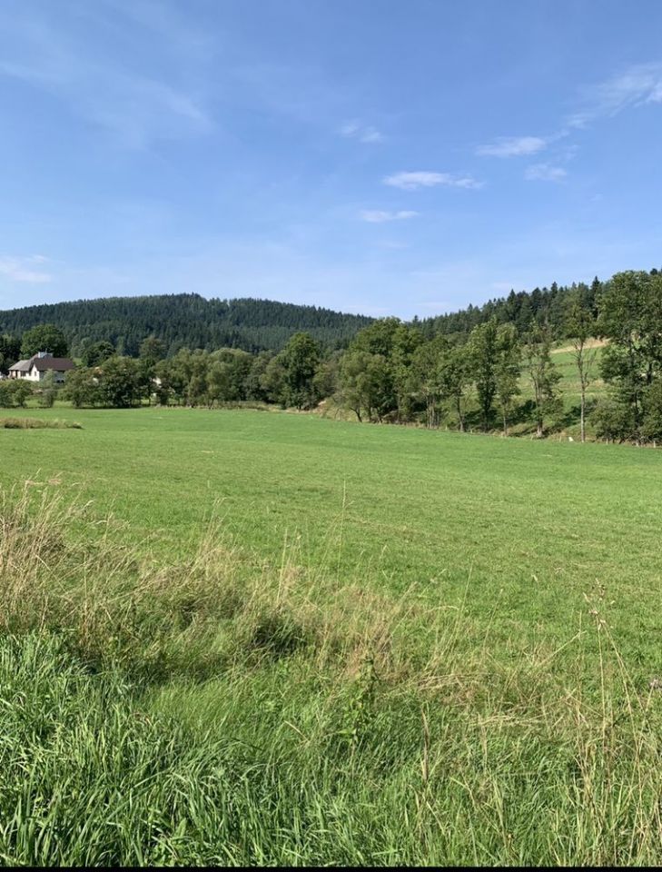 Działka rolno-budowlana Hoszowczyk. Zdjęcie 2