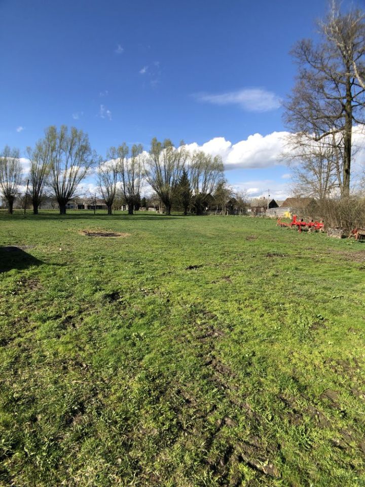 Działka budowlana Złotki Złotki-Przeczki. Zdjęcie 4