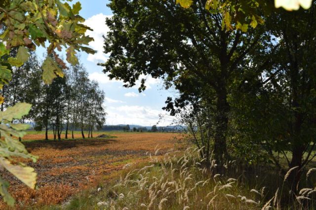 dom wolnostojący, 2 pokoje Głowienka, ul. Słoneczna. Zdjęcie 4