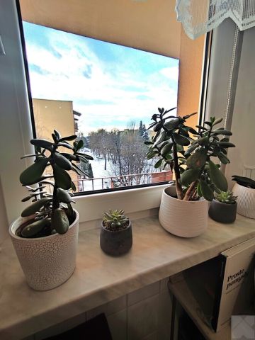 Mieszkanie 2-pokojowe Przemyśl, pl. Zesłańców Sybiru i Ofiar Katynia. Zdjęcie 6