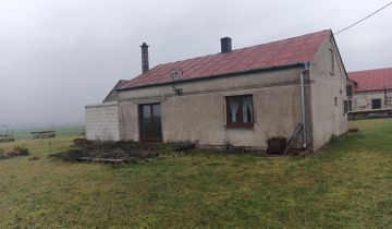 siedlisko Strzygi, Strzygi