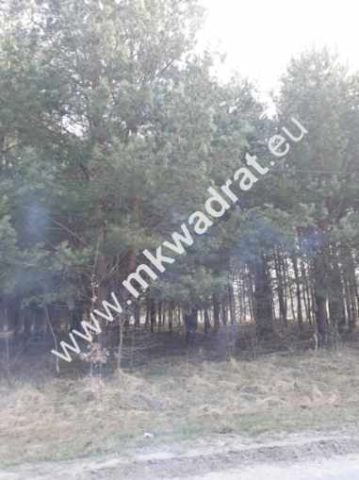 Działka budowlana Kuklówka Zarzeczna. Zdjęcie 1