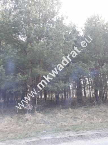 Działka budowlana Kuklówka Zarzeczna. Zdjęcie 1