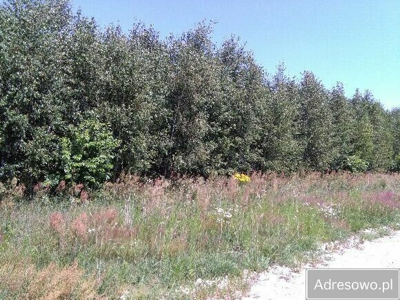 Działka budowlana Brańszczyk. Zdjęcie 11