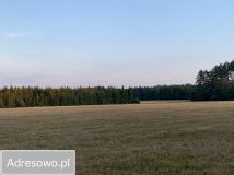 Działka rolna Rzystnowo. Zdjęcie 4