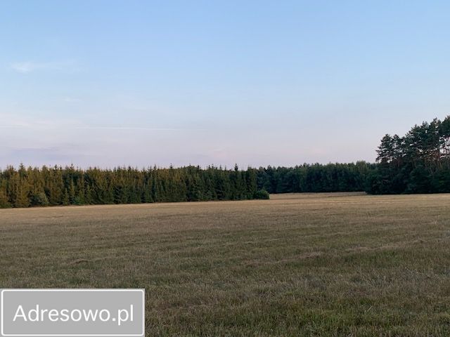 Działka rolna Rzystnowo. Zdjęcie 5