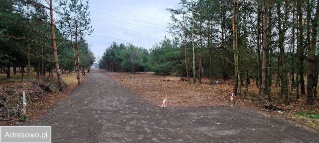 Działka budowlana Aleksandrów, ul. Sosenkowa. Zdjęcie 1