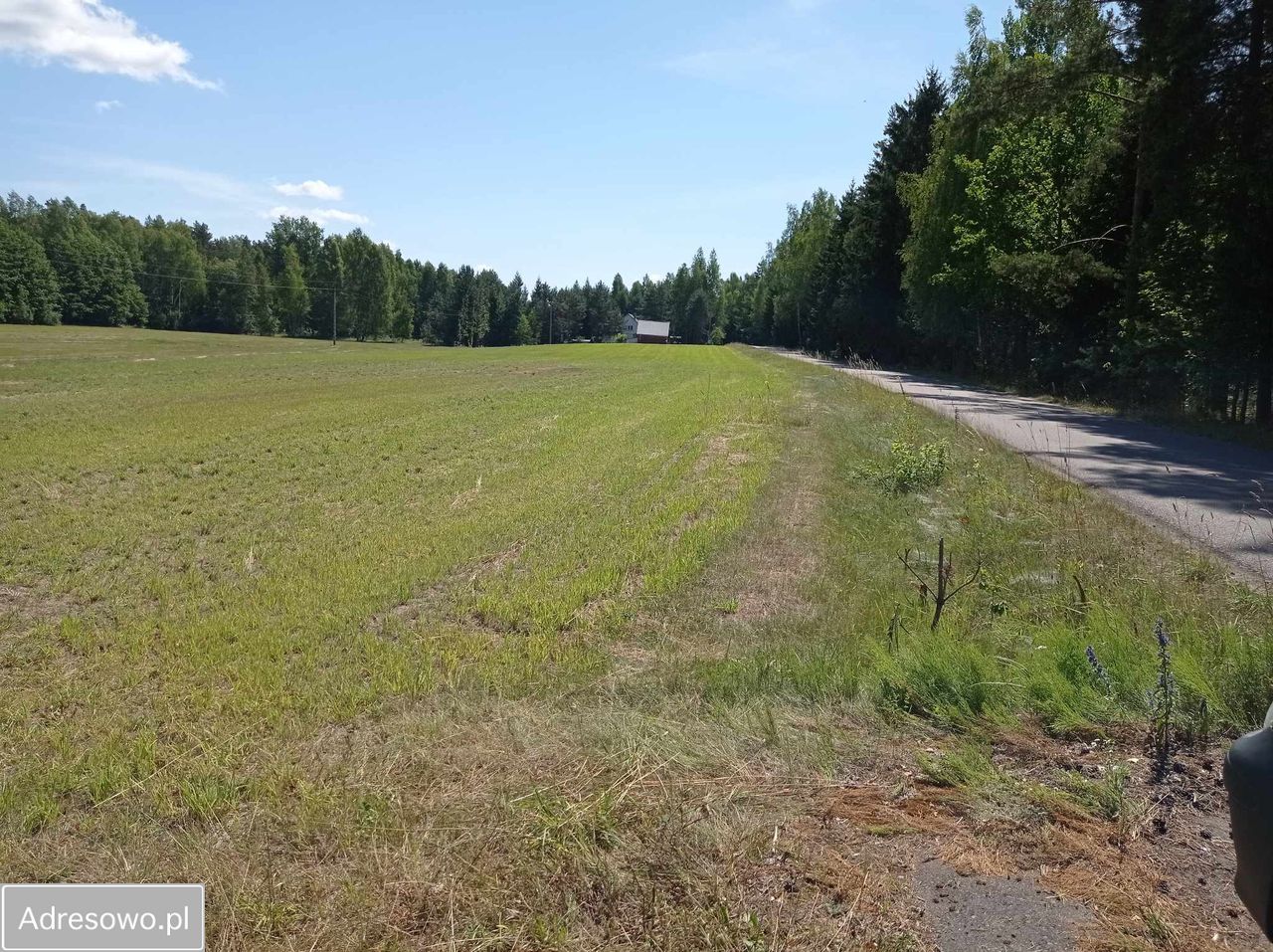 Działka budowlana Walne. Zdjęcie 7