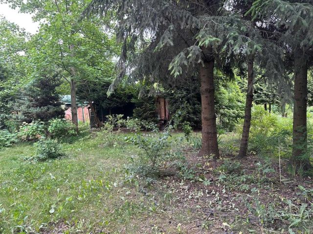 Działka rod Warszawa Siekierki, ul. Nadrzeczna. Zdjęcie 6