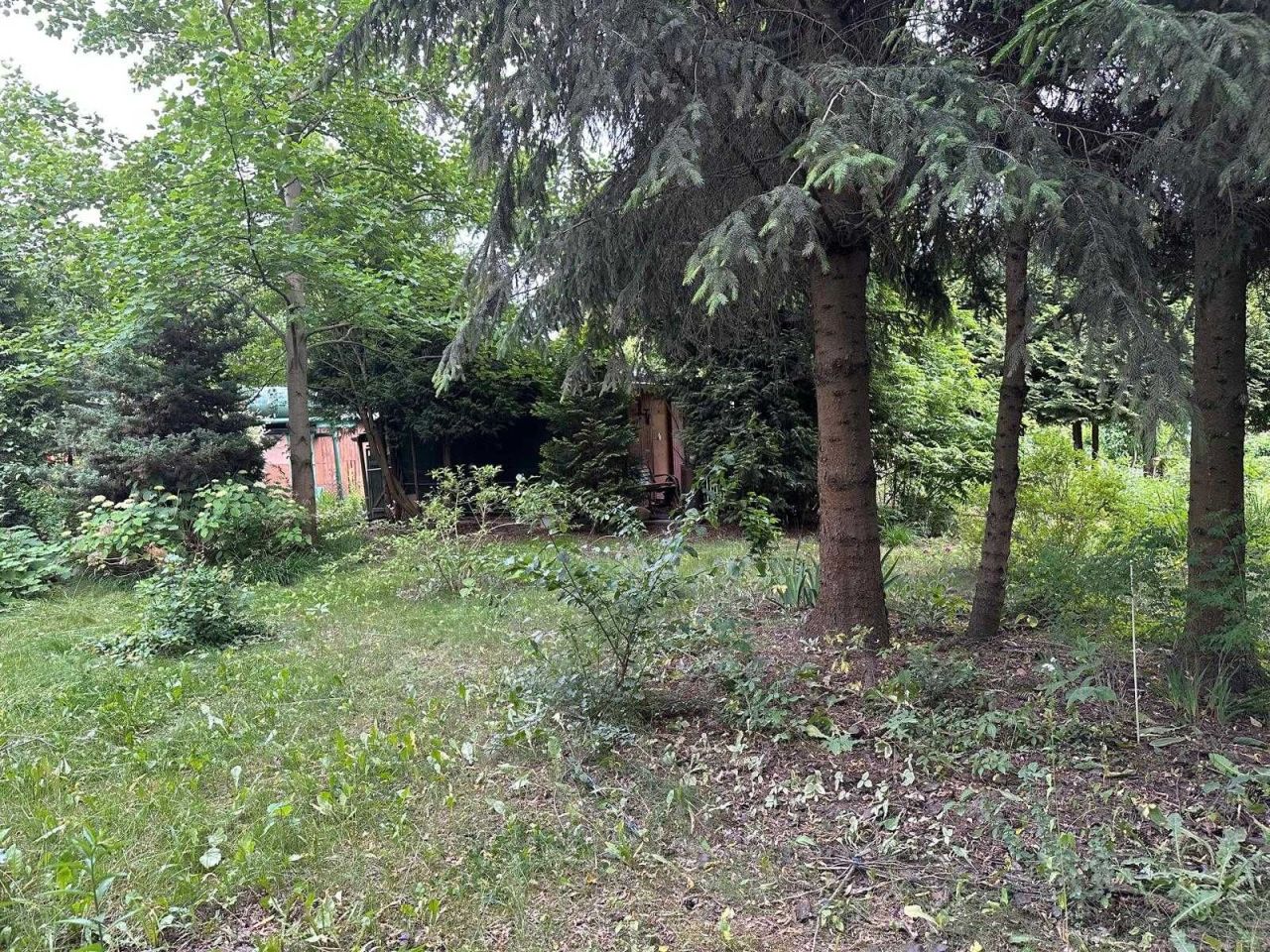 Działka rod Warszawa Siekierki. Zdjęcie 6