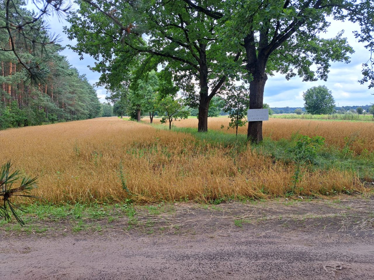 Działka budowlana Gołąbek, ul. Bajkowa