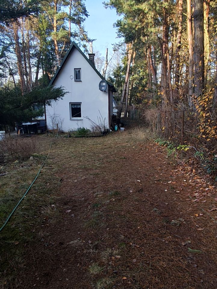 Działka rekreacyjna Zambski Kościelne. Zdjęcie 6