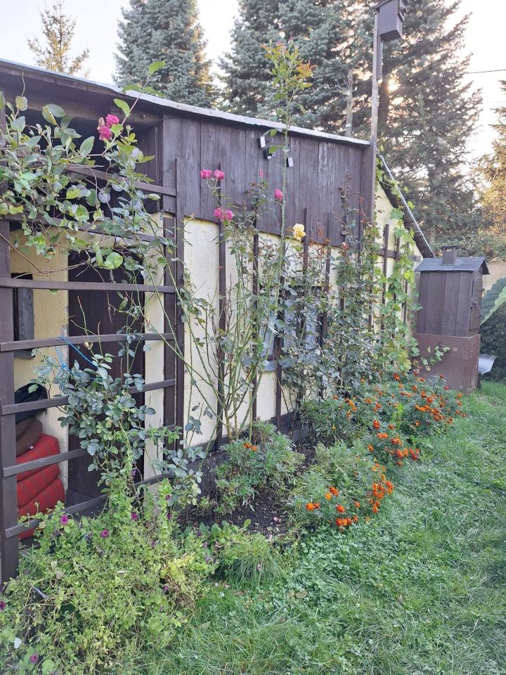 Działka rod Kowary. Zdjęcie 8