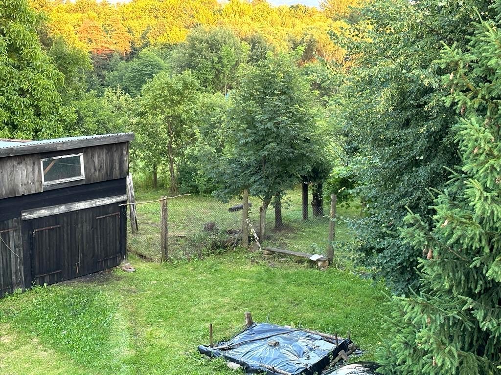 Mieszkanie 3-pokojowe Kotów. Zdjęcie 11