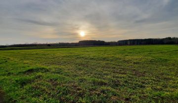 Działka budowlana Dobrzyniewo Kościelne