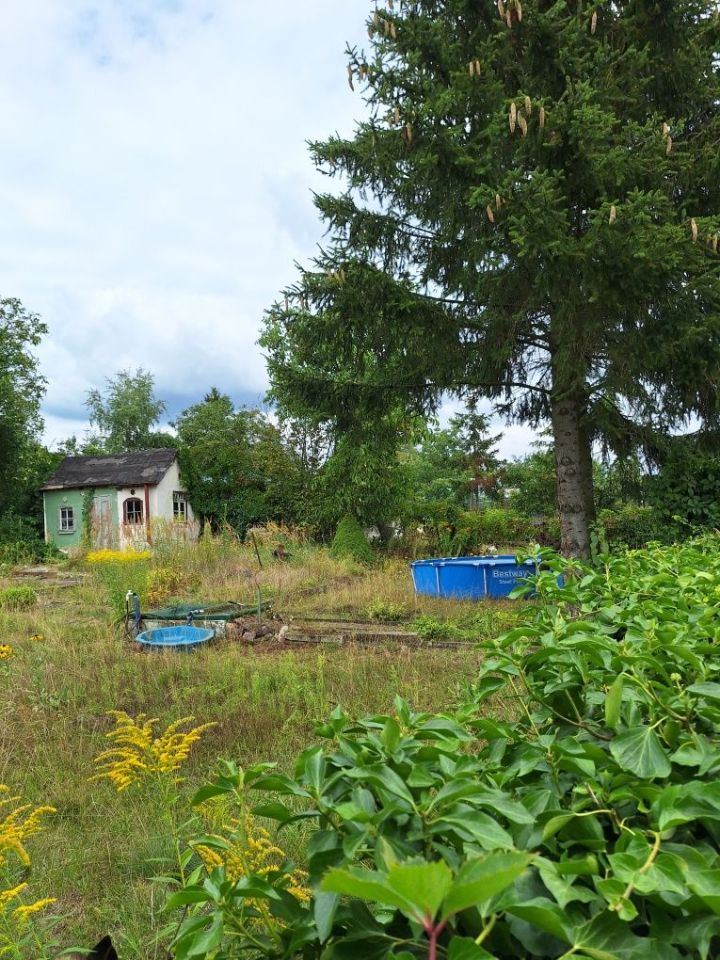 Działka rod Szczecin Pogodno, ul. Mieczysława Karłowicza. Zdjęcie 4