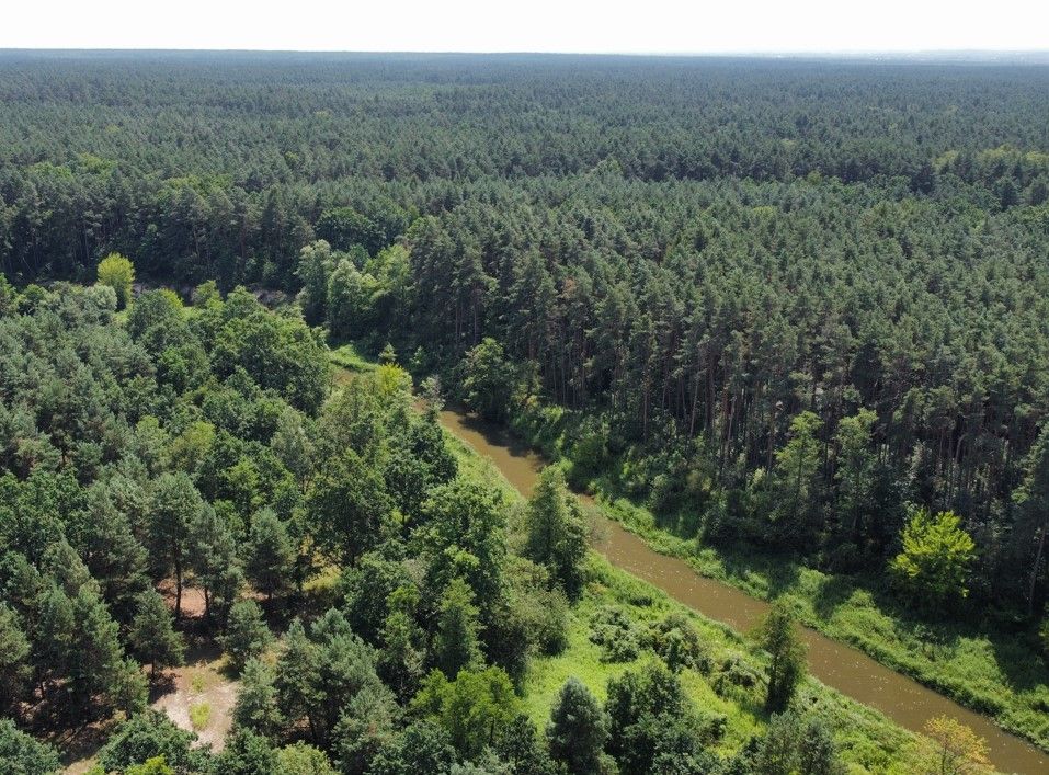 Działka budowlana Czerwona Wola. Zdjęcie 6