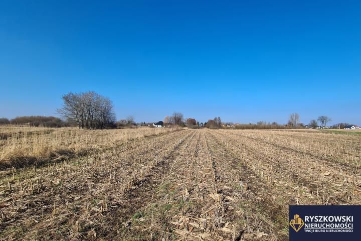 Działka budowlana Zamość Majdan. Zdjęcie 2