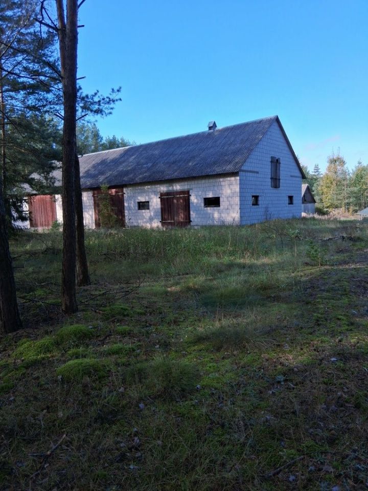 Działka siedliskowa Krusza. Zdjęcie 4