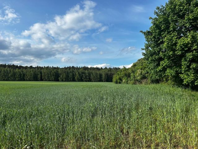 Działka budowlana Zabłocie. Zdjęcie 1