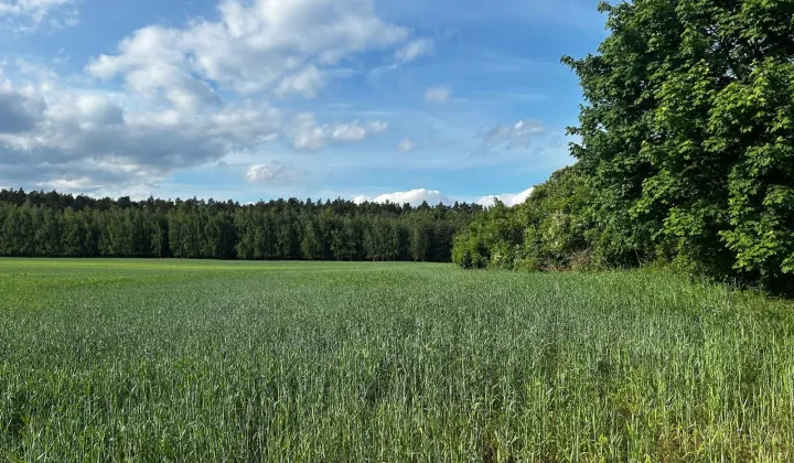 Działka budowlana Zabłocie