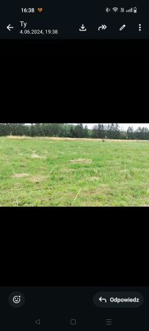 Działka rolno-budowlana Szczecin Płonia, ul. Choinkowa/Mokradłowa. Zdjęcie 4