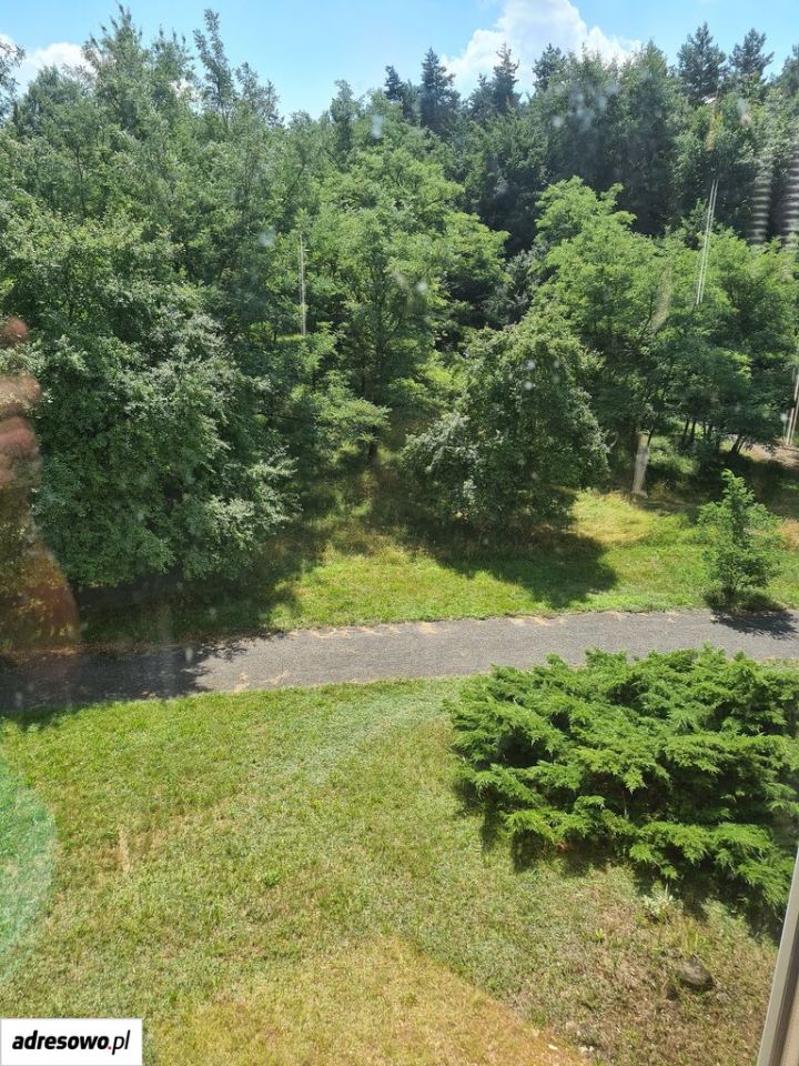 Działka budowlana Rogoźnik. Zdjęcie 2