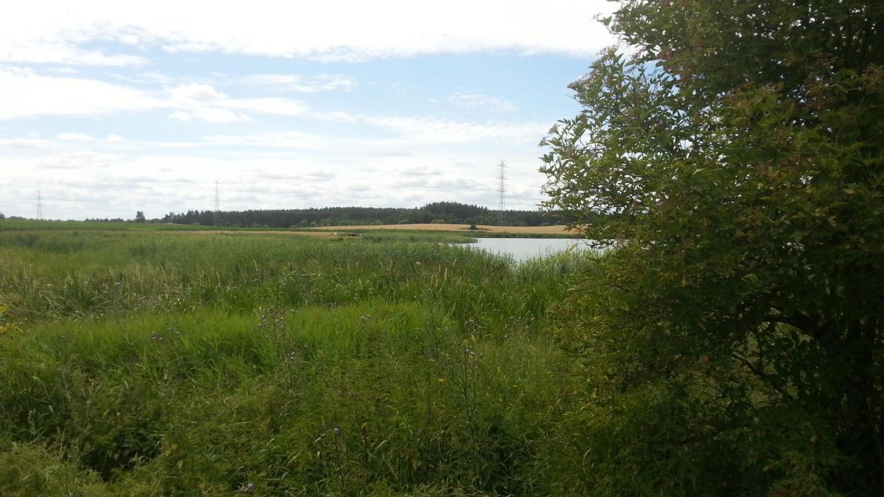 Działka rekreacyjna Kurzątki. Zdjęcie 9