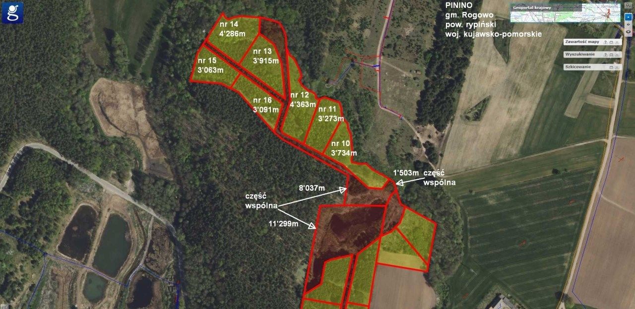 Działka budowlana Pinino. Zdjęcie 4