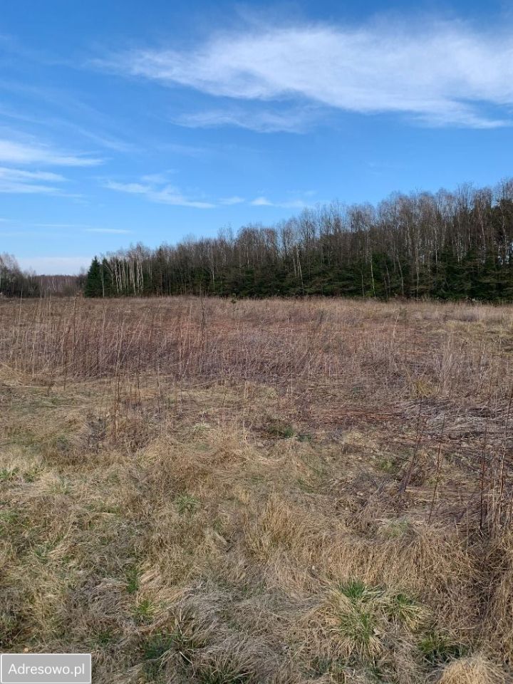 Działka rolno-budowlana Wola Polska. Zdjęcie 4