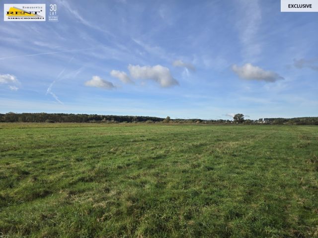 Działka rolna Dobra, ul. Dereszowa. Zdjęcie 13