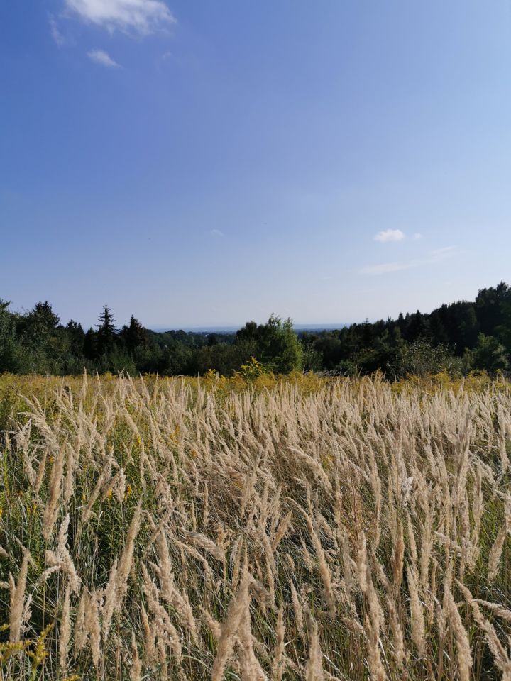 Działka budowlana Dojazdów, ul. Pogodna. Zdjęcie 2