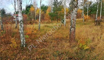 Działka na sprzedaż          
          
            Stare Załubice – pohled 4