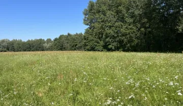 Działka na sprzedaż bez pośredników          
          
            Grotniki Małe - Widok 6