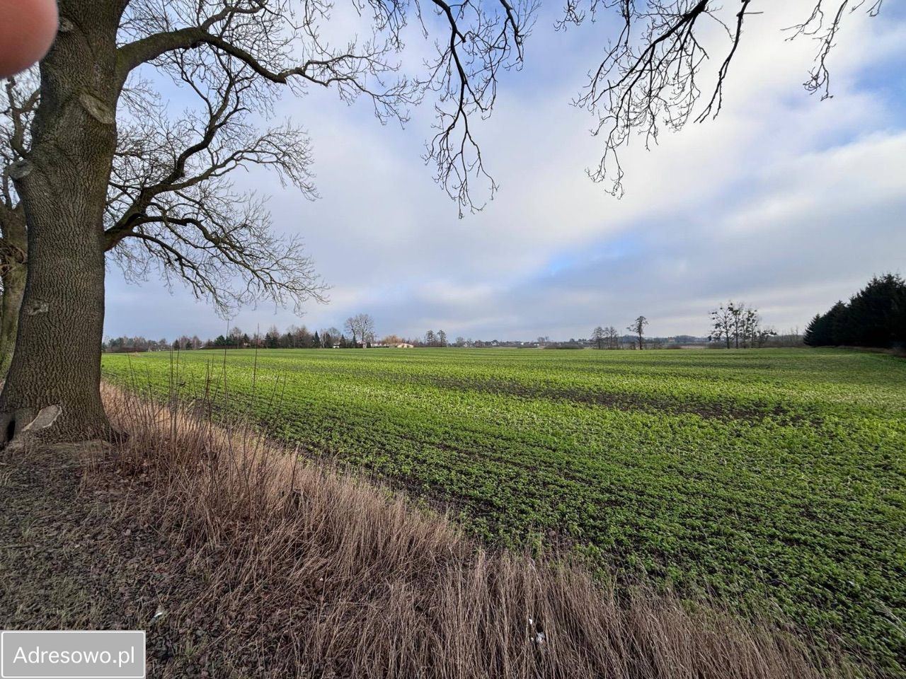 Działka inwestycyjna Iława, ul. Zalewska. Zdjęcie 3