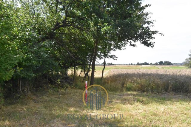 Działka siedliskowa Siedliska. Zdjęcie 3