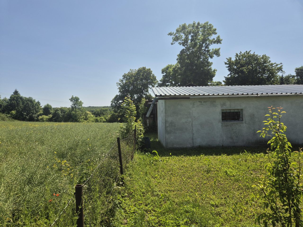 Działka siedliskowa Rychliki. Zdjęcie 17