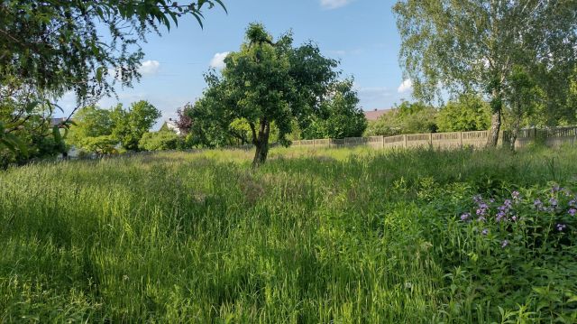 dom wolnostojący, 3 pokoje Sulmierzyce, ul. Południowa. Zdjęcie 7