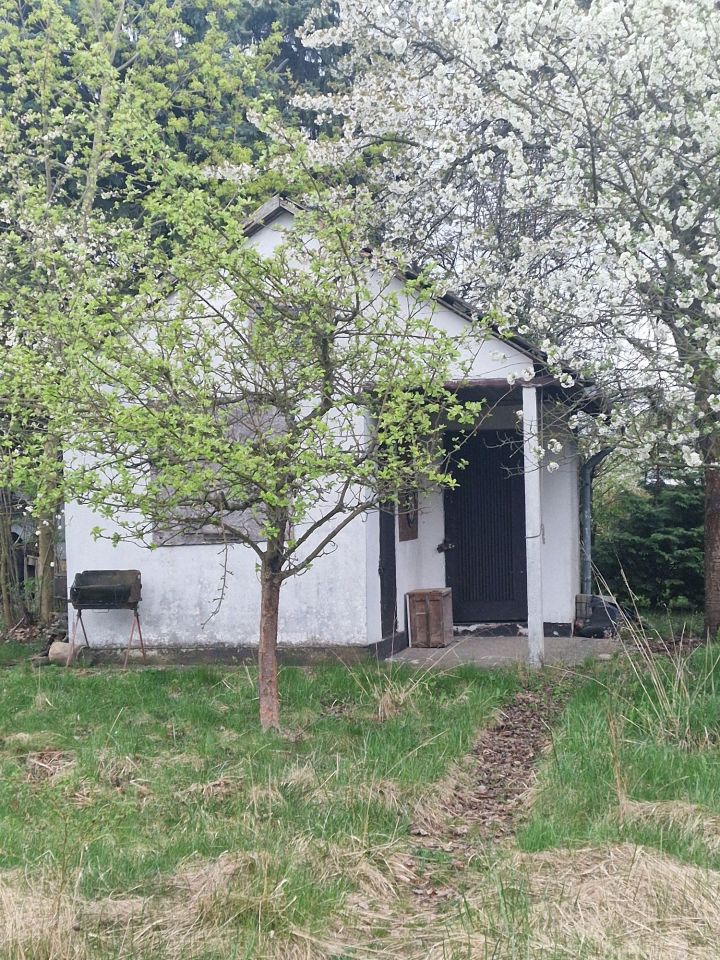 Działka rod Wrocław Partynice. Zdjęcie 1