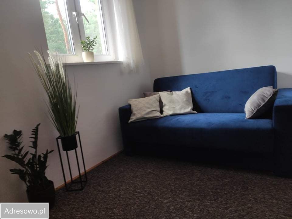 Lokal Majdan Sopocki Drugi. Zdjęcie 12