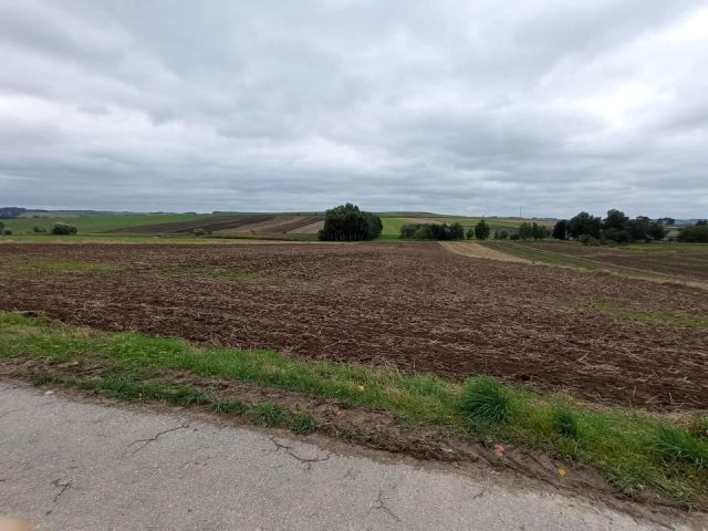 Działka rolna Trątnowice Moczyłki. Zdjęcie 1