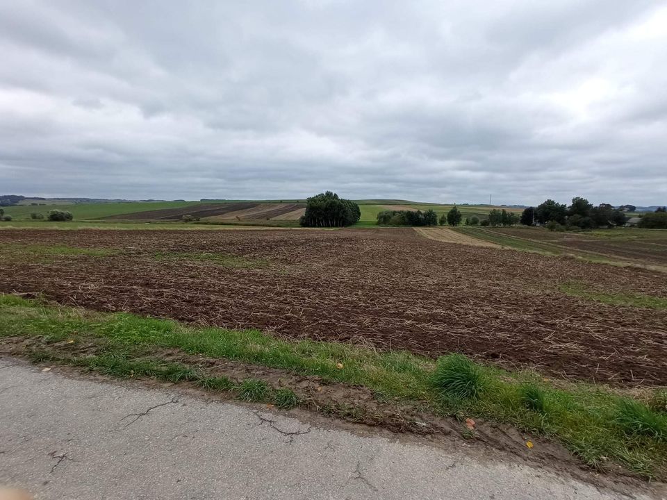 Działka rolna Trątnowice Moczyłki