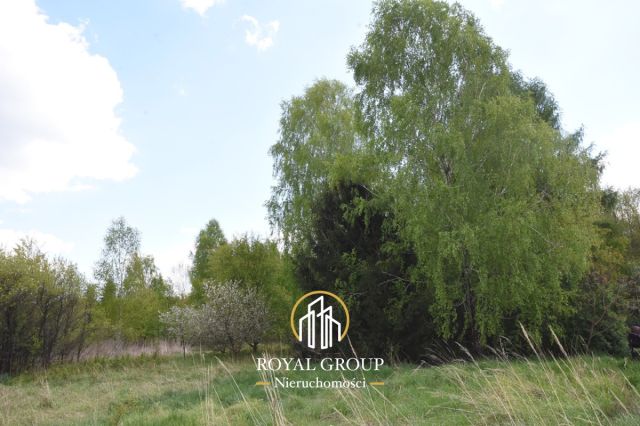 Działka rekreacyjna Białka. Zdjęcie 1