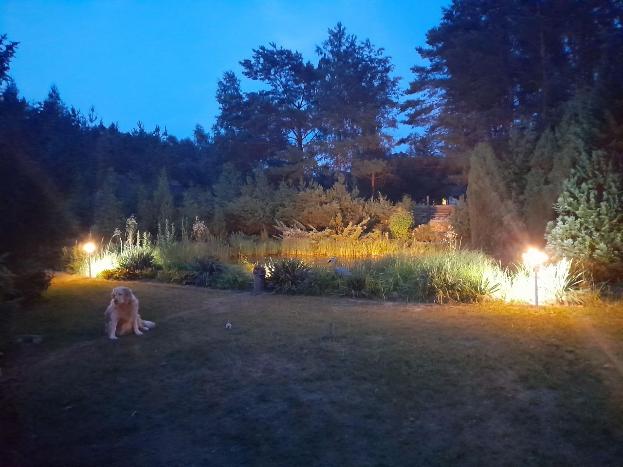 gospodarstwo, 7 pokoi Łazisko Brzezina. Zdjęcie 27