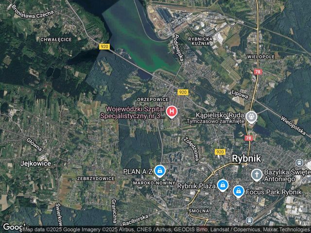 Działka leśna Rybnik Orzepowice, ul. Borki. Zdjęcie 1