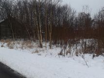 Działka budowlana Zabrze Zaborze, ul. Skarbnika. Zdjęcie 4